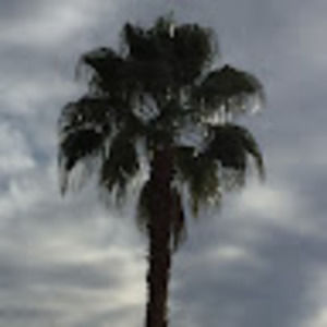 Meet your Posher, Joanne